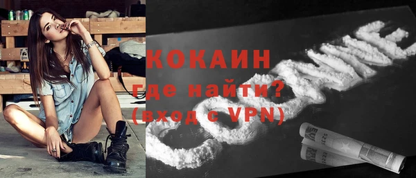 прущие грибы Переславль-Залесский