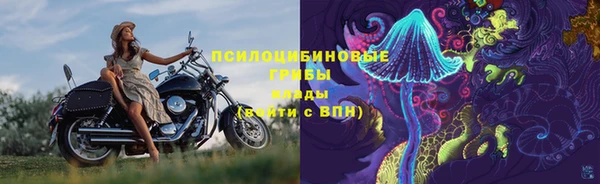 каннабис Баксан