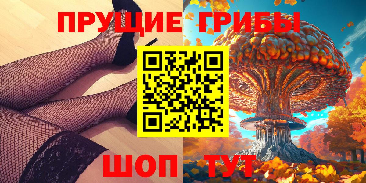 Галлюциногенные грибы Psilocybe  Буйнакск 